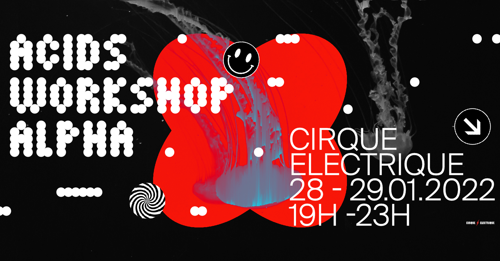 acids workshop alpha